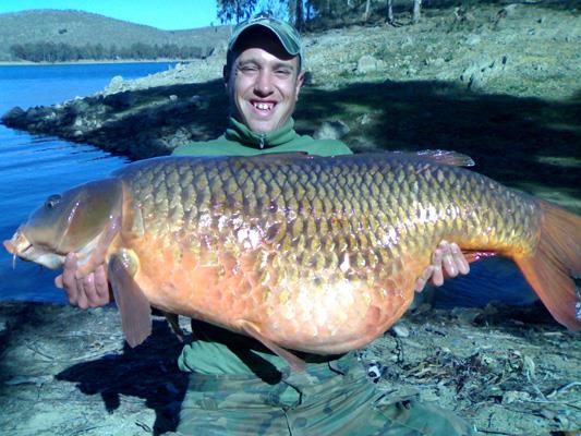 Adunate! - river-ebro-carp-fishing-spanish-record.jpg